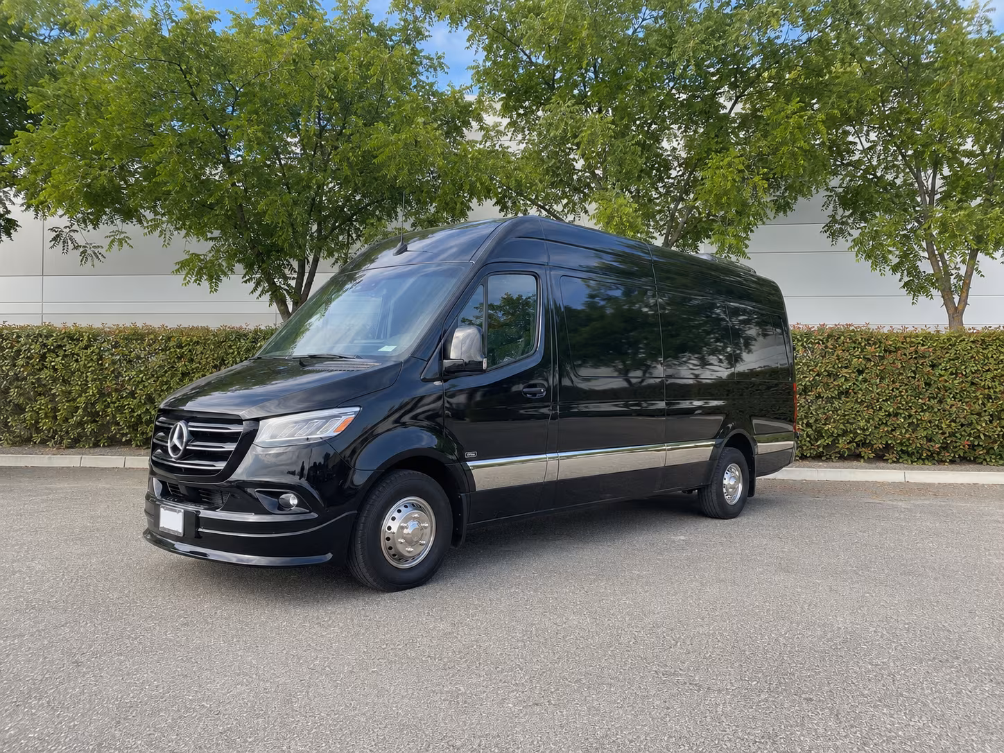 south fulton 12 passenger sprinter van